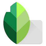 Snapseed - The most widely used photo editing software